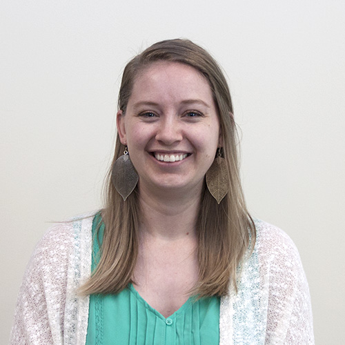 Sarah A. Schroeder MS, MSW Clinician