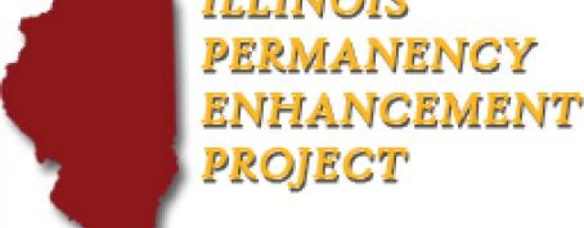 DCFS Cook County Permanency Enhancement Project Steering Committee