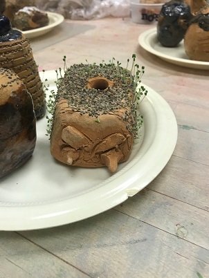 Chia 1