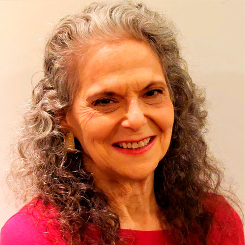 Faye Weinstein, MS, MMSc, PT