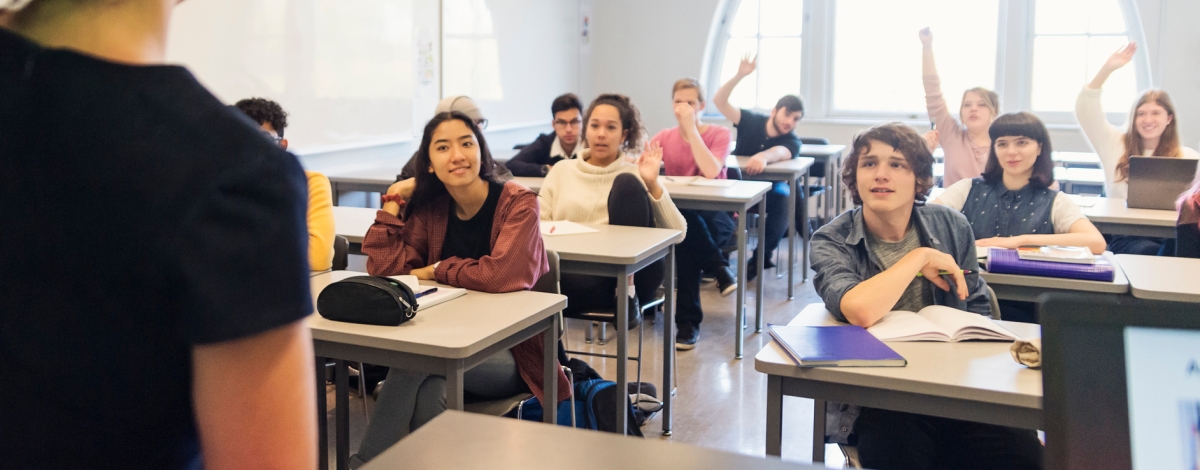 Introducing Response's Newest Community Educator, Rosemary Sissel