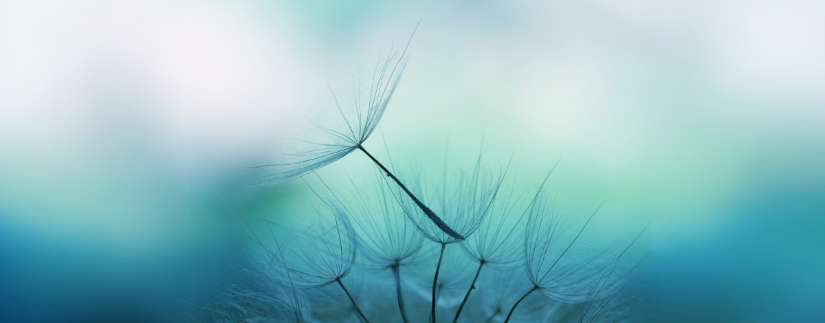 Supporting Survivors of Suicide Loss through a Jewish Lens