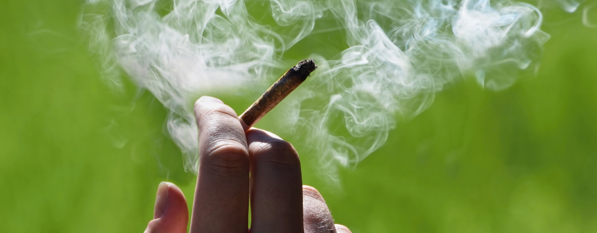 What We Know About Marijuana: Fact, Fiction or Somewhere in Between 