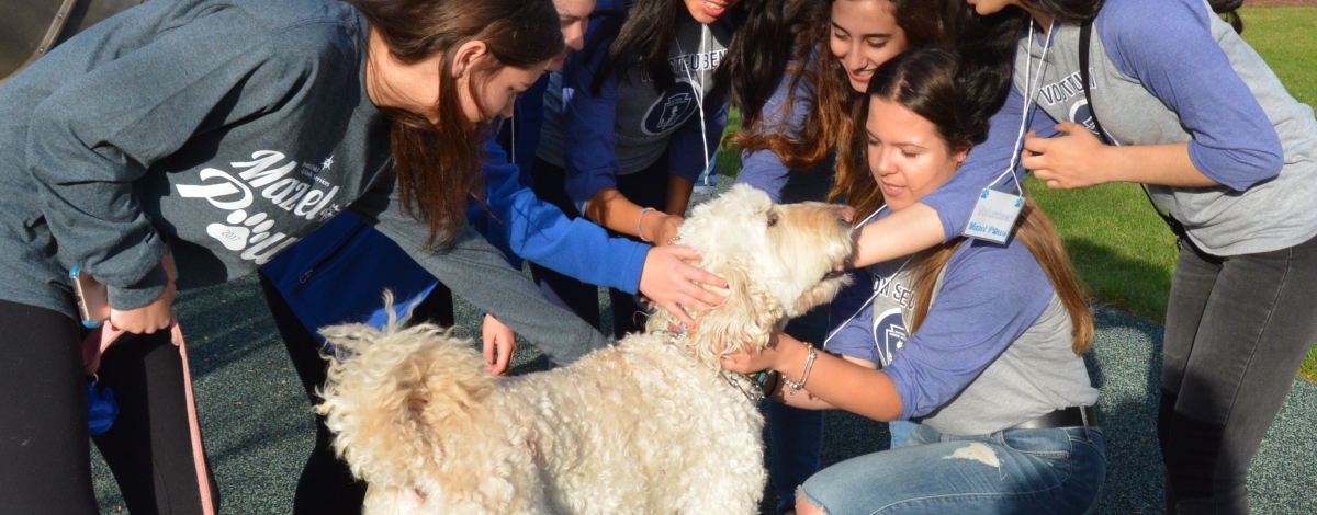 Mazel Paws Fundraiser Benefits JCFS Therapeutic Day School