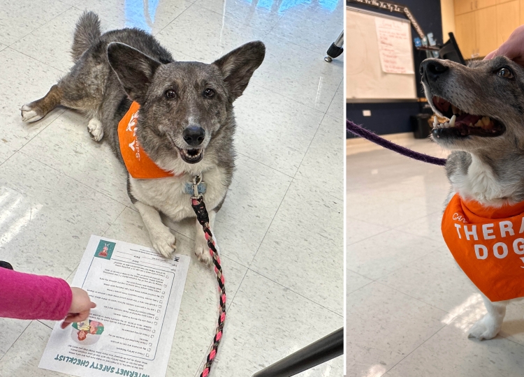 Small Therapy Dog has Big Impact on Knapp Students