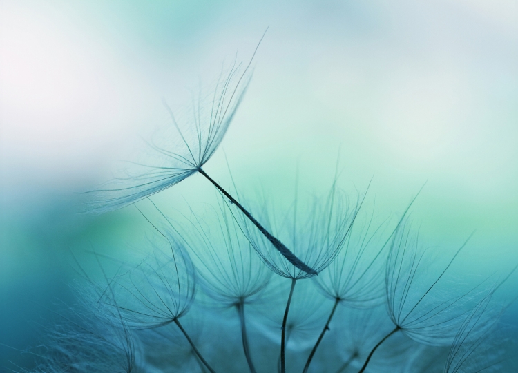 Supporting Survivors of Suicide Loss through a Jewish Lens