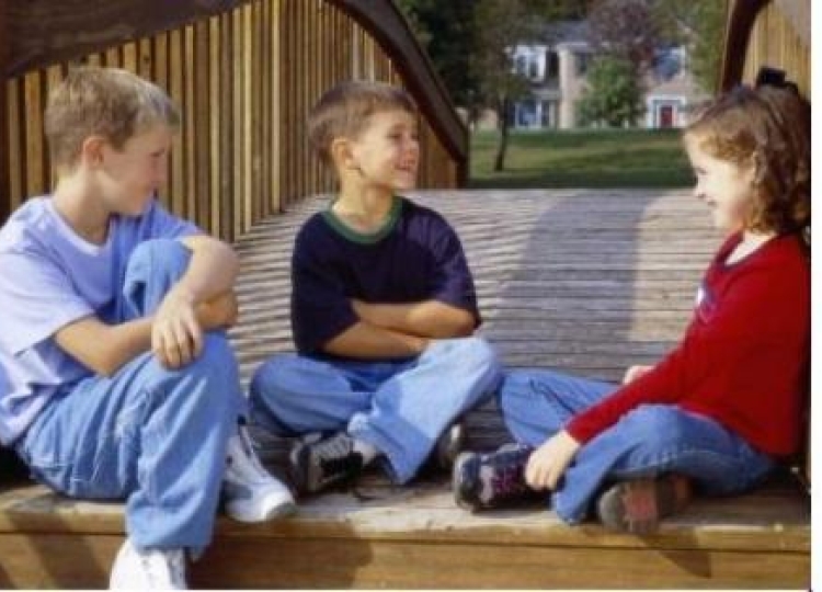 Social Thinking at Camp Firefly