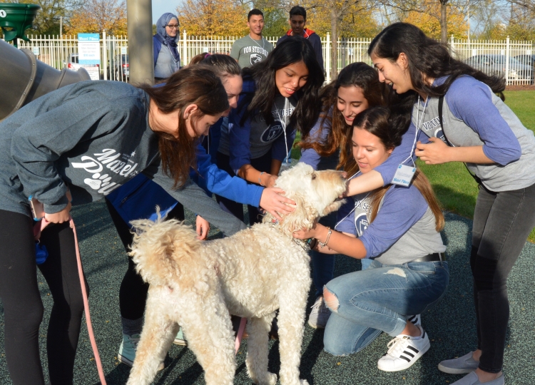 Mazel Paws Fundraiser Benefits JCFS Therapeutic Day School