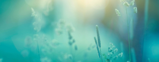 Healing Through the Seasons