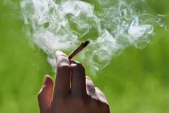 What We Know About Marijuana: Fact, Fiction or Somewhere in Between