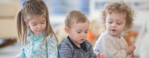 Developmental Social Groups