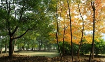 JCFS Chaplaincy Blogs